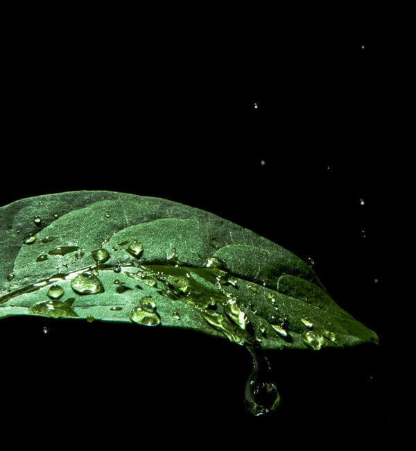 Droplet Projekt