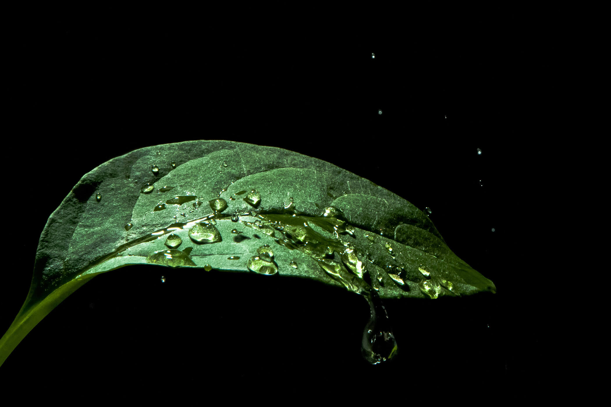 Droplet Projekt